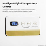 Thermaster 600L Chest Freezer 10Amp
