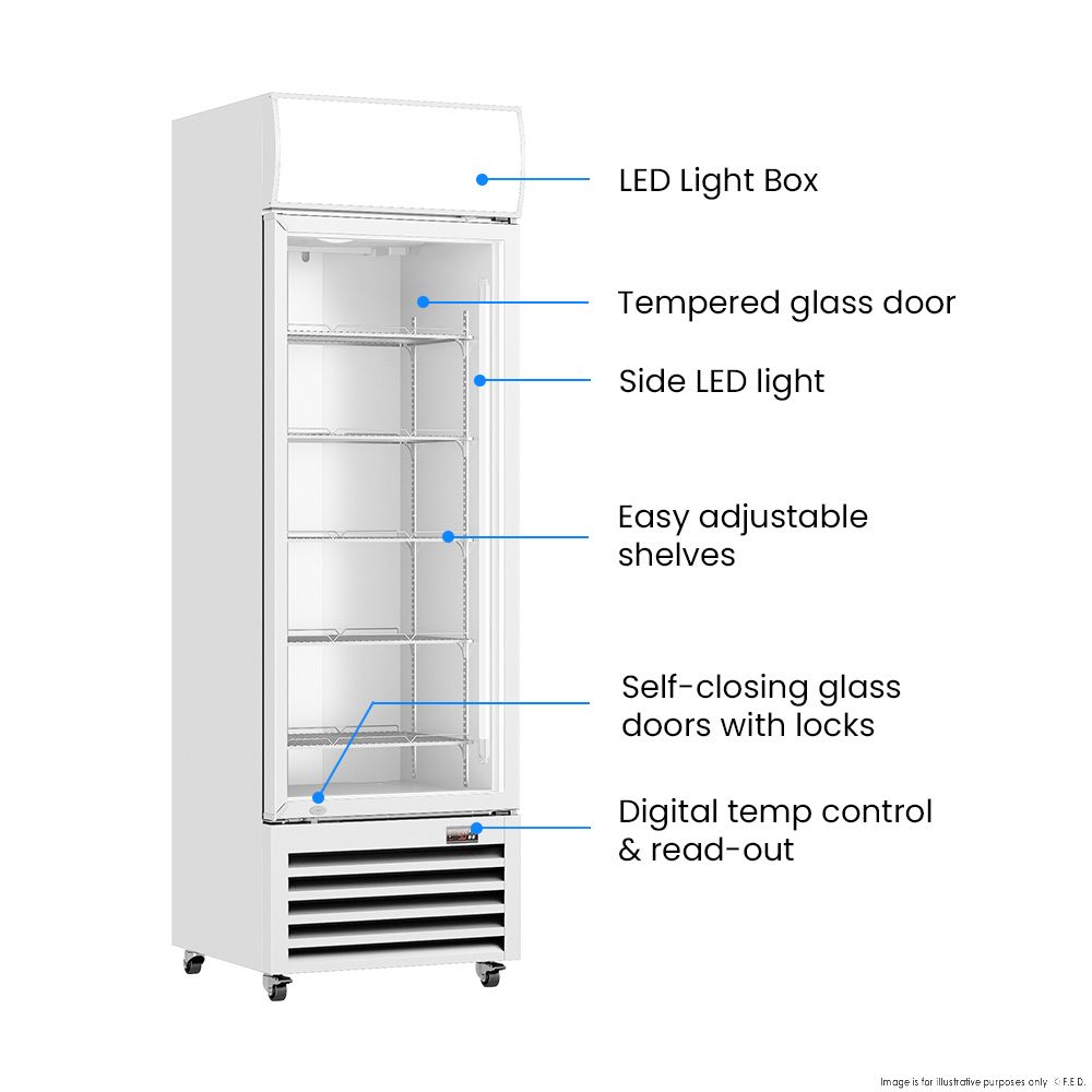 Thermaster 540L Single Glass Door Upright Drink Fridge White 10Amp